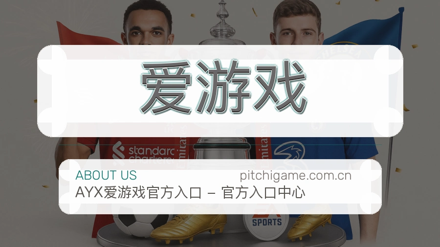 爱游戏赛程档案服务说明